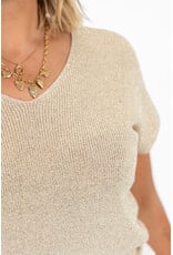 21Jewelz Mouwloze glitter top - beige