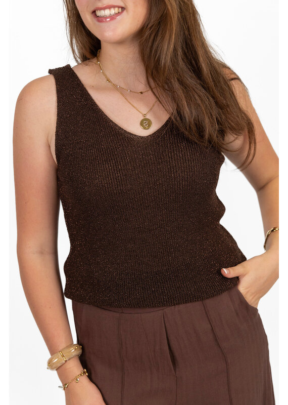 21Jewelz Glitter top met v-hals - bruin