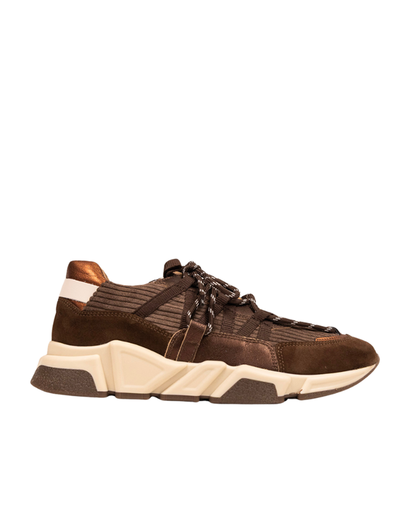 DWRS DWRS | Los Angeles corduroy - Dark brown