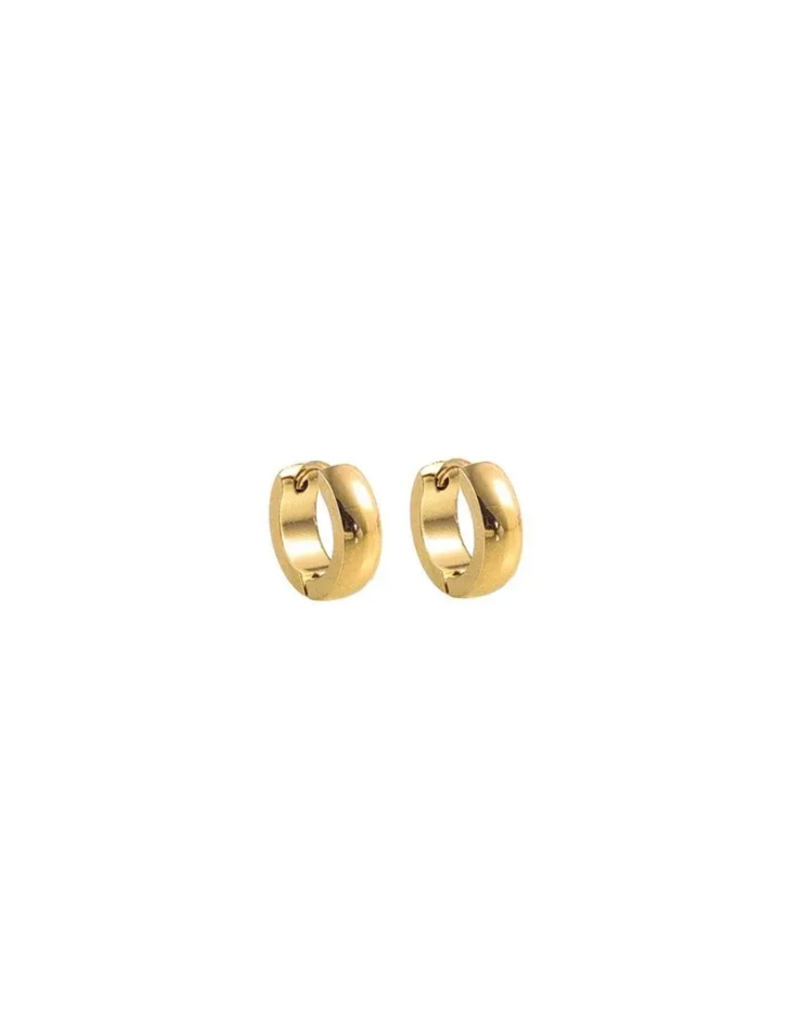 Go Dutch Label D&E - Gouden oorringen 13mm