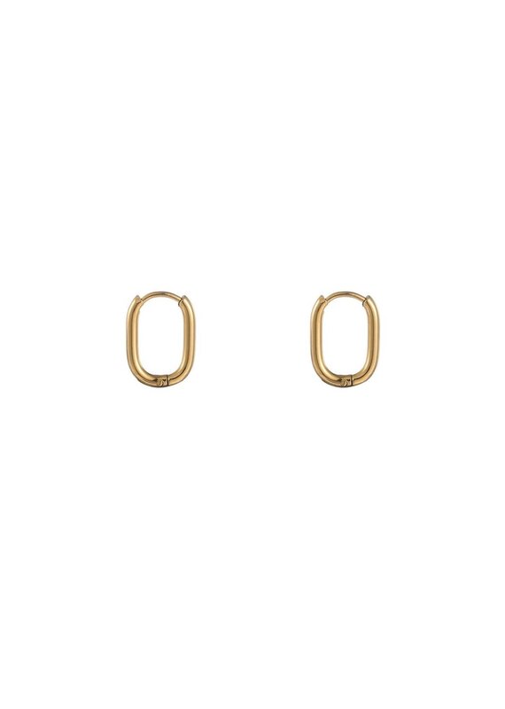 Go Dutch Label D&E | Kleine ovale oorringen - goud