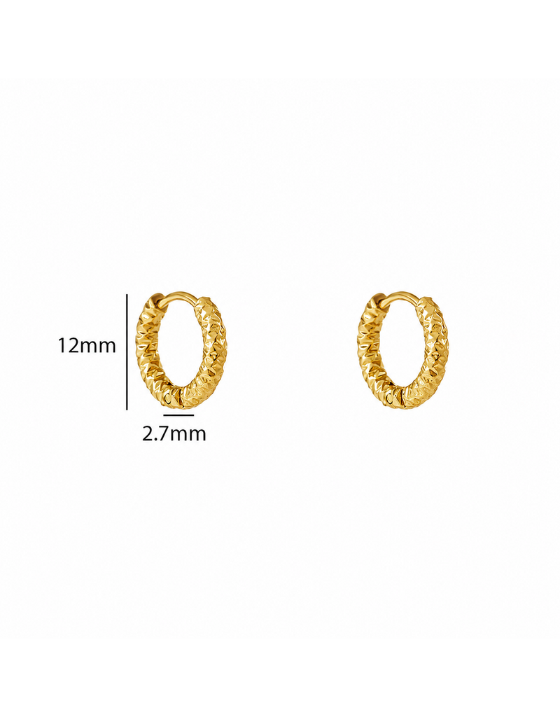 Go Dutch Label D&E | Hammered hoop 12 mm - goud