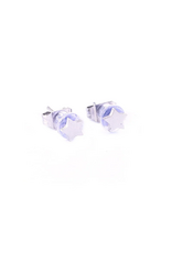 Go Dutch Label D&E | Ster studs - zilver