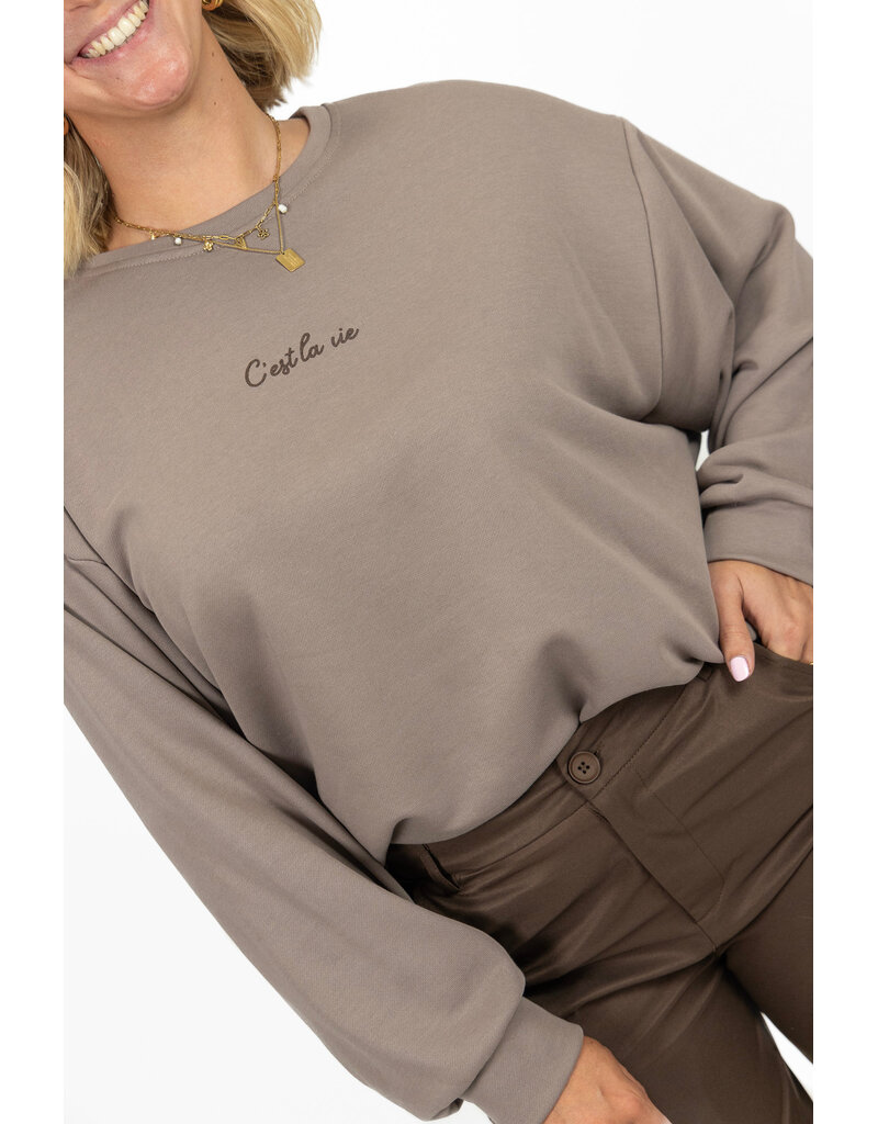 21Jewelz C'est la vie sweater - taupe