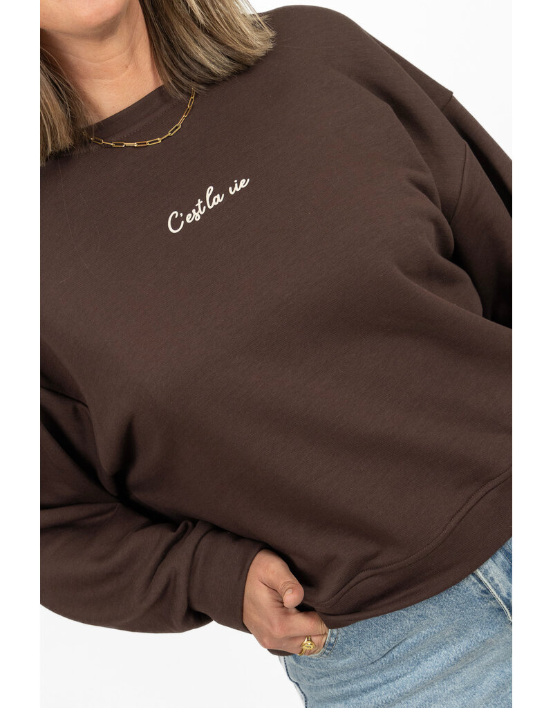 21Jewelz C'est la vie sweater - bruin