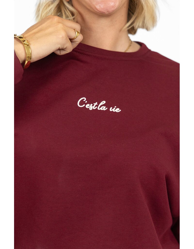 21Jewelz C'est la vie sweater - bordeaux