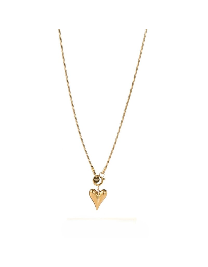 Go Dutch Label D&E - Heart pendant necklace