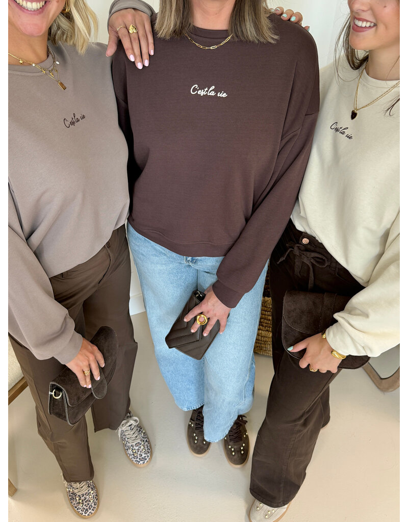 21Jewelz C'est la vie sweater - bruin