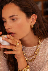 My Jewellery My Jewellery | Bold oorhangers wijd - goud
