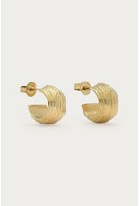 My Jewellery My Jewellery | Bold smalle oorringen met ribbels - goud