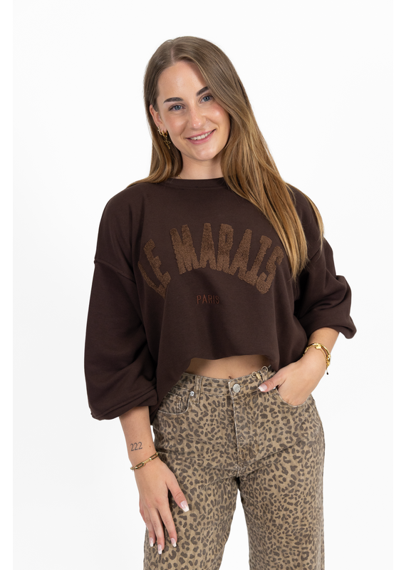 21Jewelz Le Marais Paris sweater - bruin