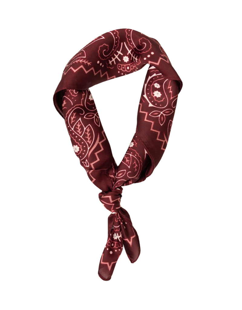 21Jewelz Sjaal met paisleyprint - bordeaux