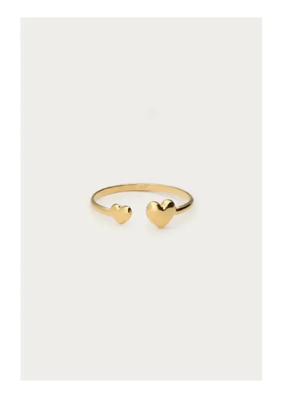 My Jewellery Minimalistische ring met dubbel hartje