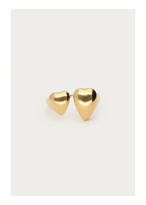 My Jewellery Bold ring met twee hartjes