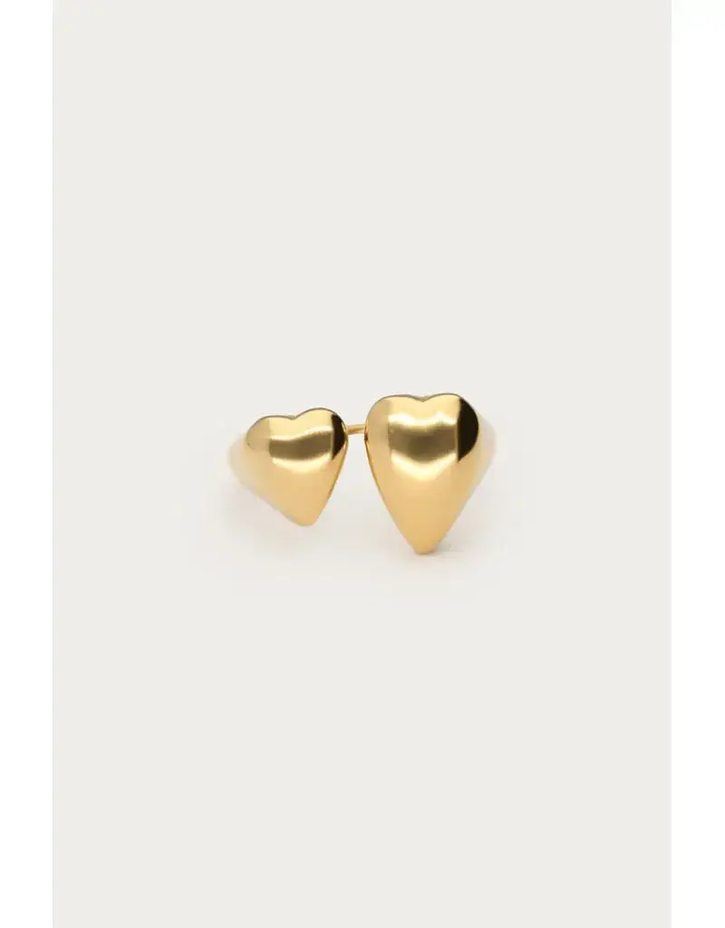 My Jewellery Bold ring met twee hartjes