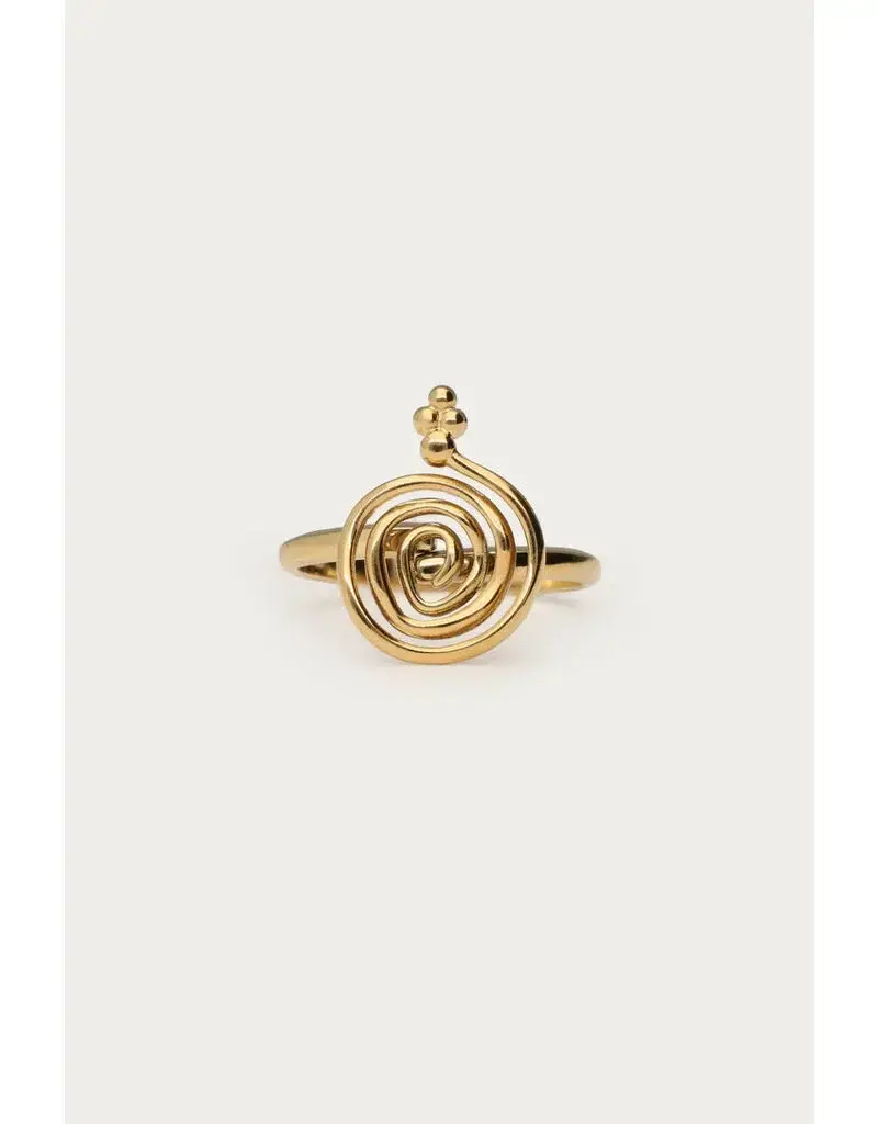My Jewellery Nomads ring minimalistische swirl