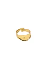 21Jewelz Ring met organische vorm