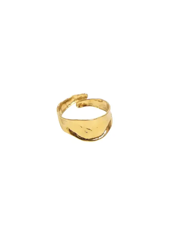 21Jewelz Ring met organische vorm