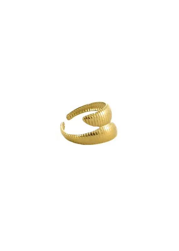 21Jewelz Gestreepte retro ring