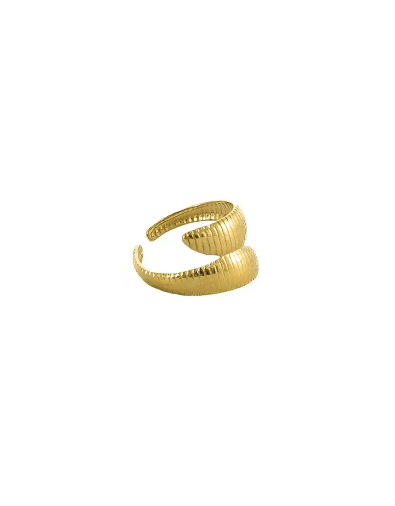 21Jewelz Gestreepte retro ring