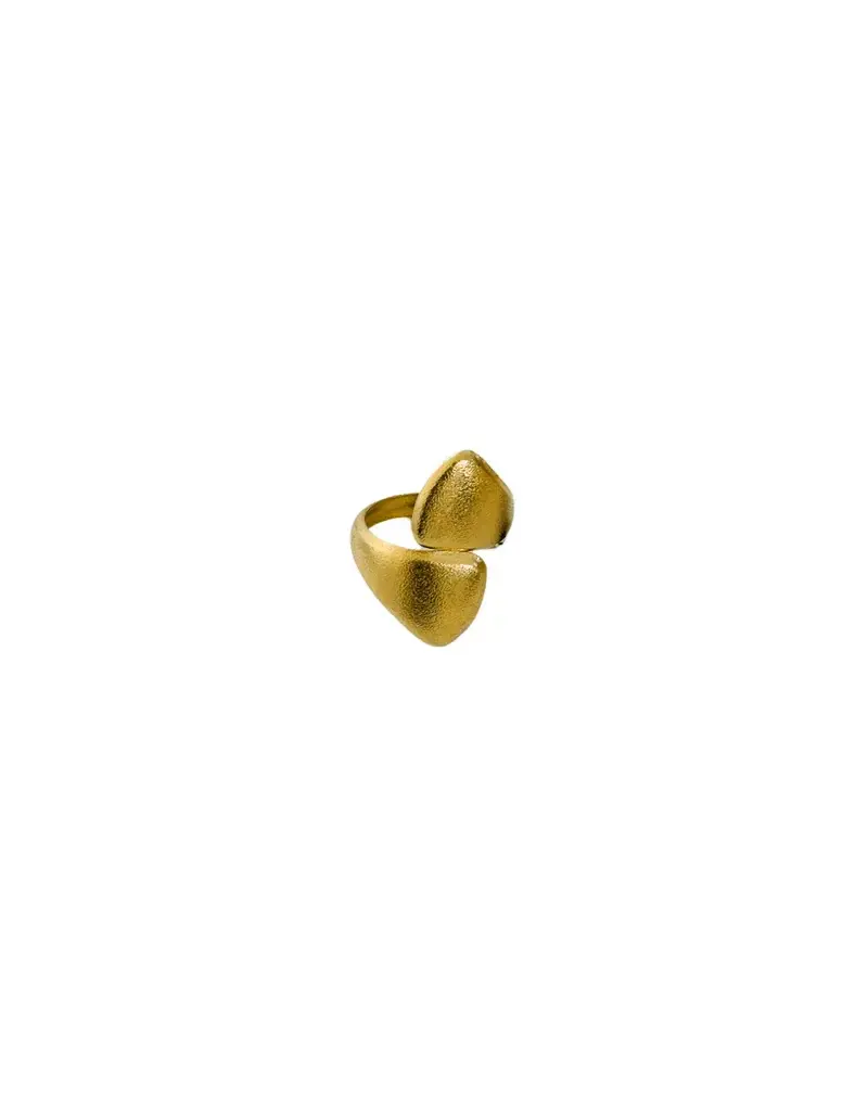 21Jewelz Dubbele statement ring met structuur