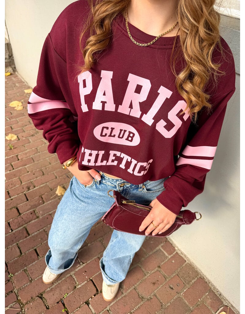 21Jewelz Sweater Paris Athletics - bordeaux/roze