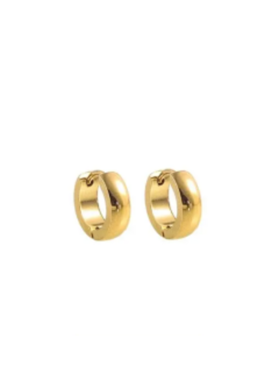 Go Dutch Label Gouden oorringen 13mm