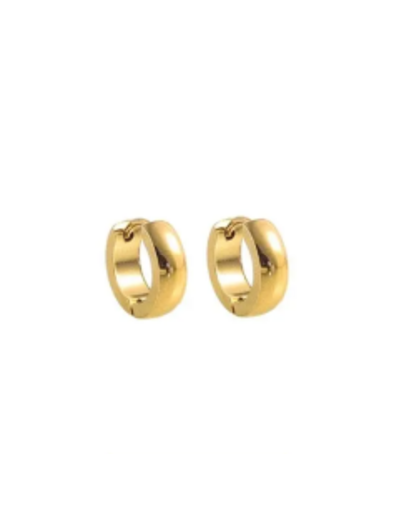 Go Dutch Label Gouden oorringen 13mm