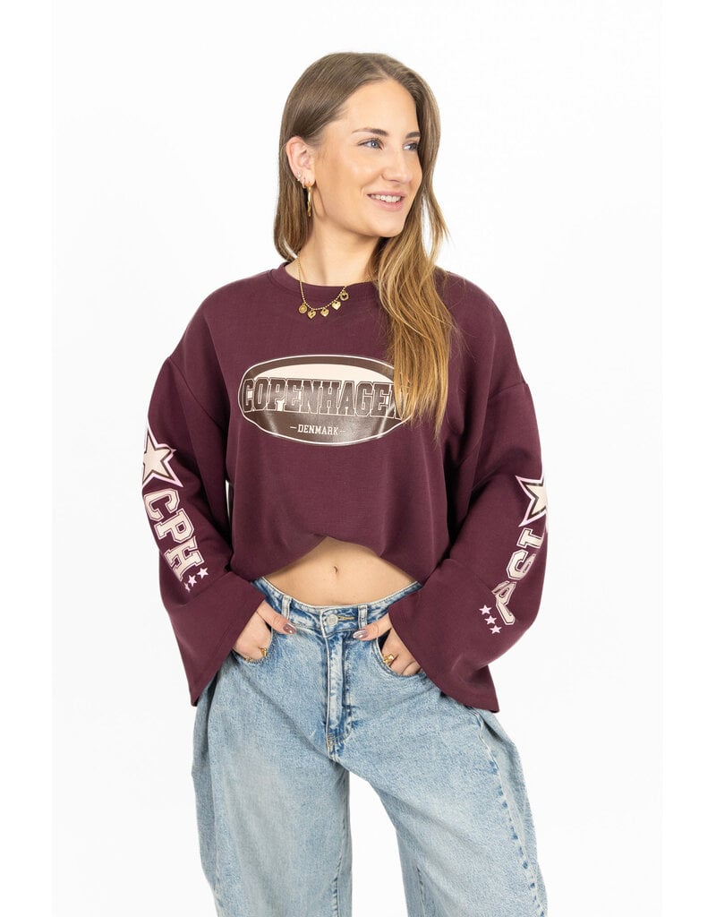 21Jewelz Oversized longsleeve met sterren - bordeaux