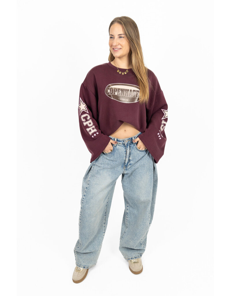 21Jewelz Oversized longsleeve met sterren - bordeaux