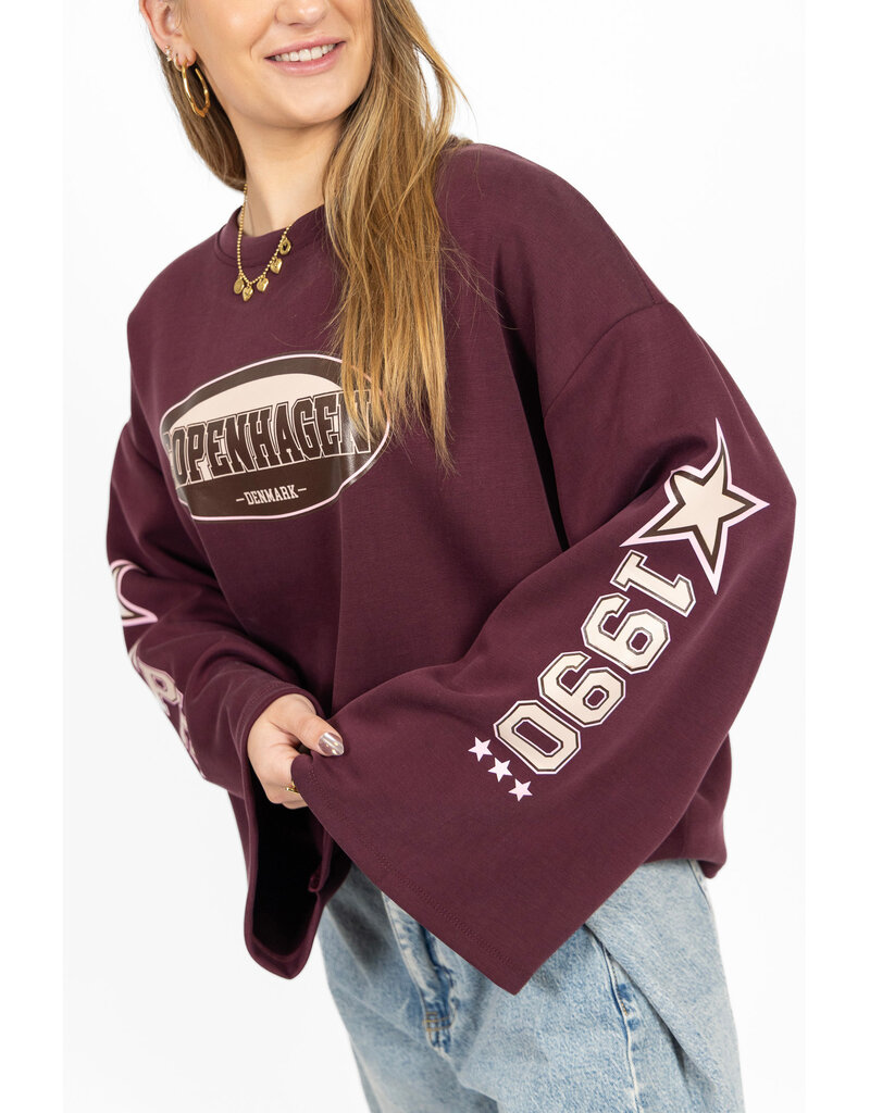 21Jewelz Oversized longsleeve met sterren - bordeaux