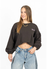 The social club sweater - bruin