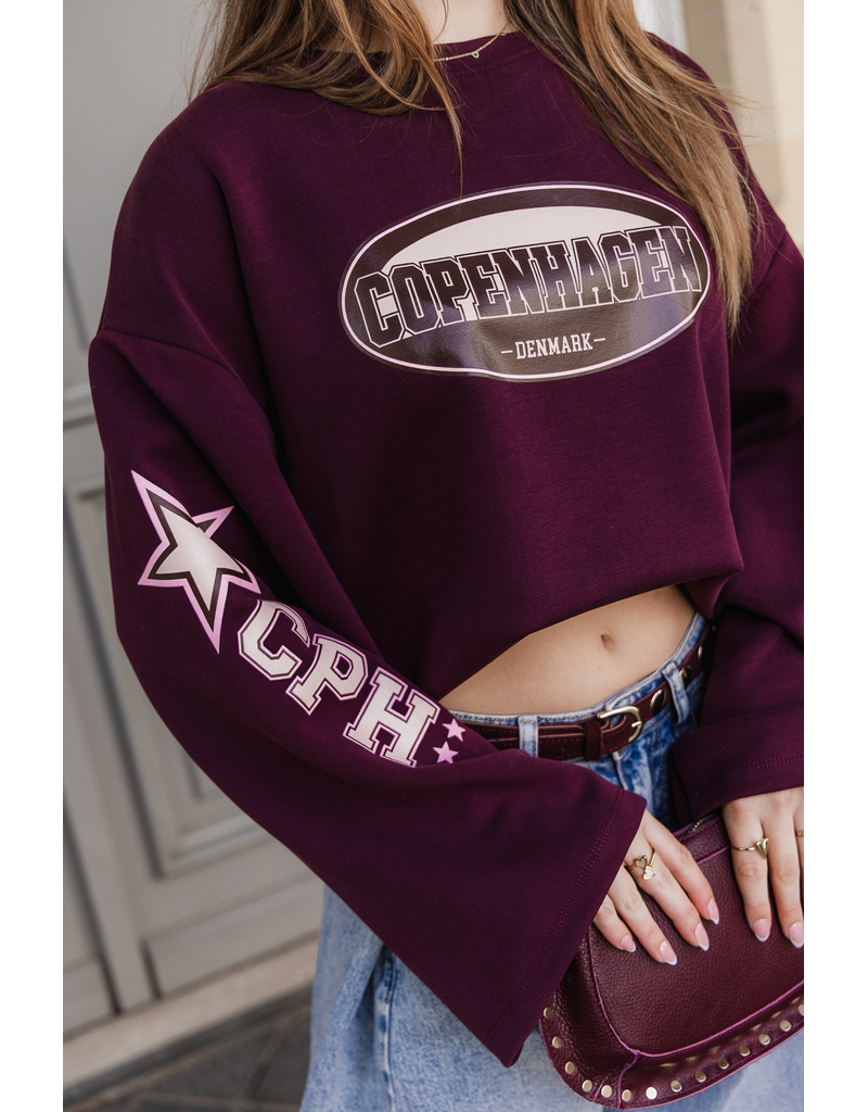 21Jewelz Oversized longsleeve met sterren - bordeaux