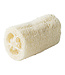 Scrub sponge loofah