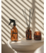 The Scented Sanctuary set
