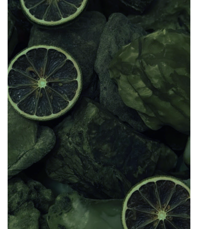 Dish Soap 500ml - Tender Affection