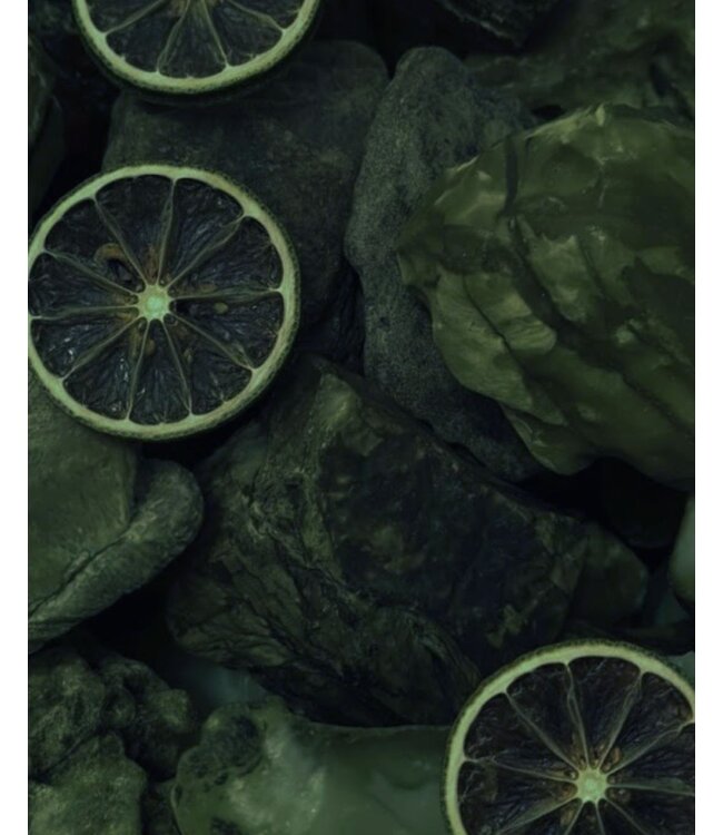 Handsoap 500ml - Tender Affection