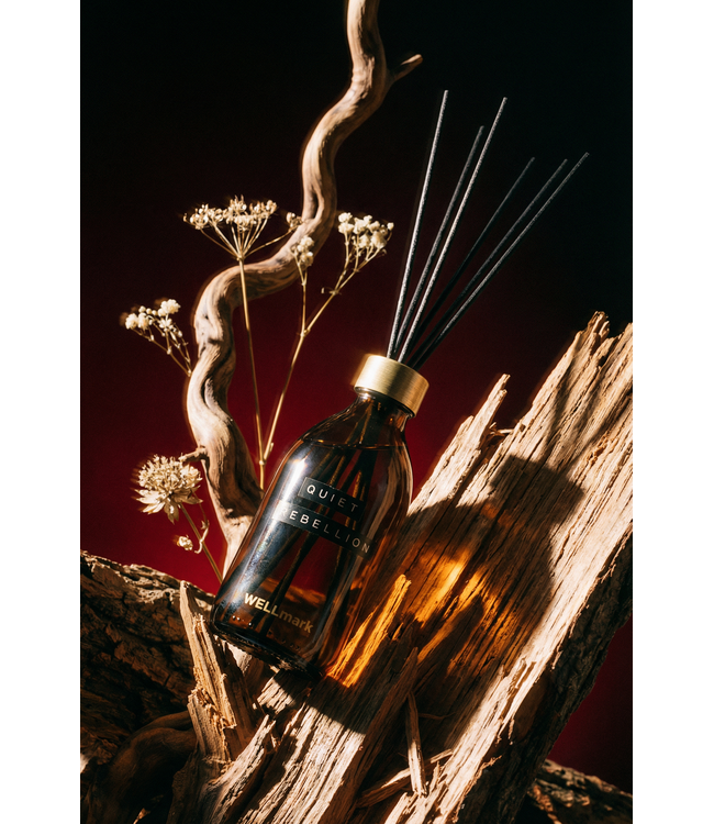 Reed Diffuser 200ml - Quiet Rebellion