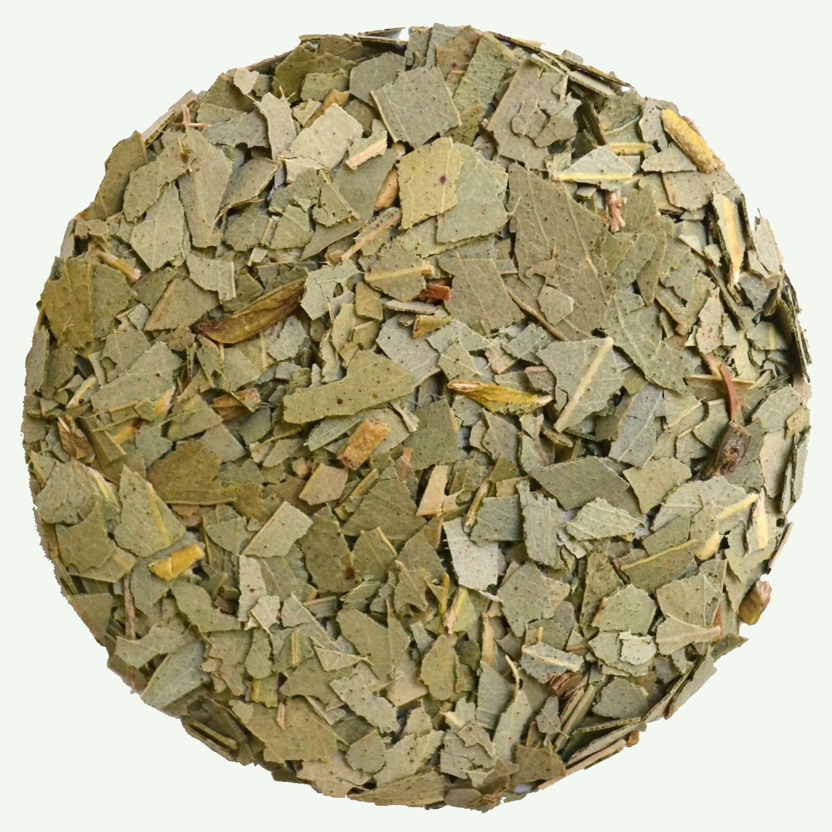 Koffiebranderij Sao Paulo Eucalyptus 100g