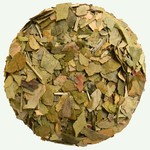 Koffiebranderij Sao Paulo Ginkgo Biloba 100g