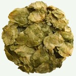 Koffiebranderij Sao Paulo Hopbellen 35g