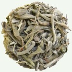 Koffiebranderij Sao Paulo Salie 50g