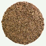 Koffiebranderij Sao Paulo Karwijzaad 100g