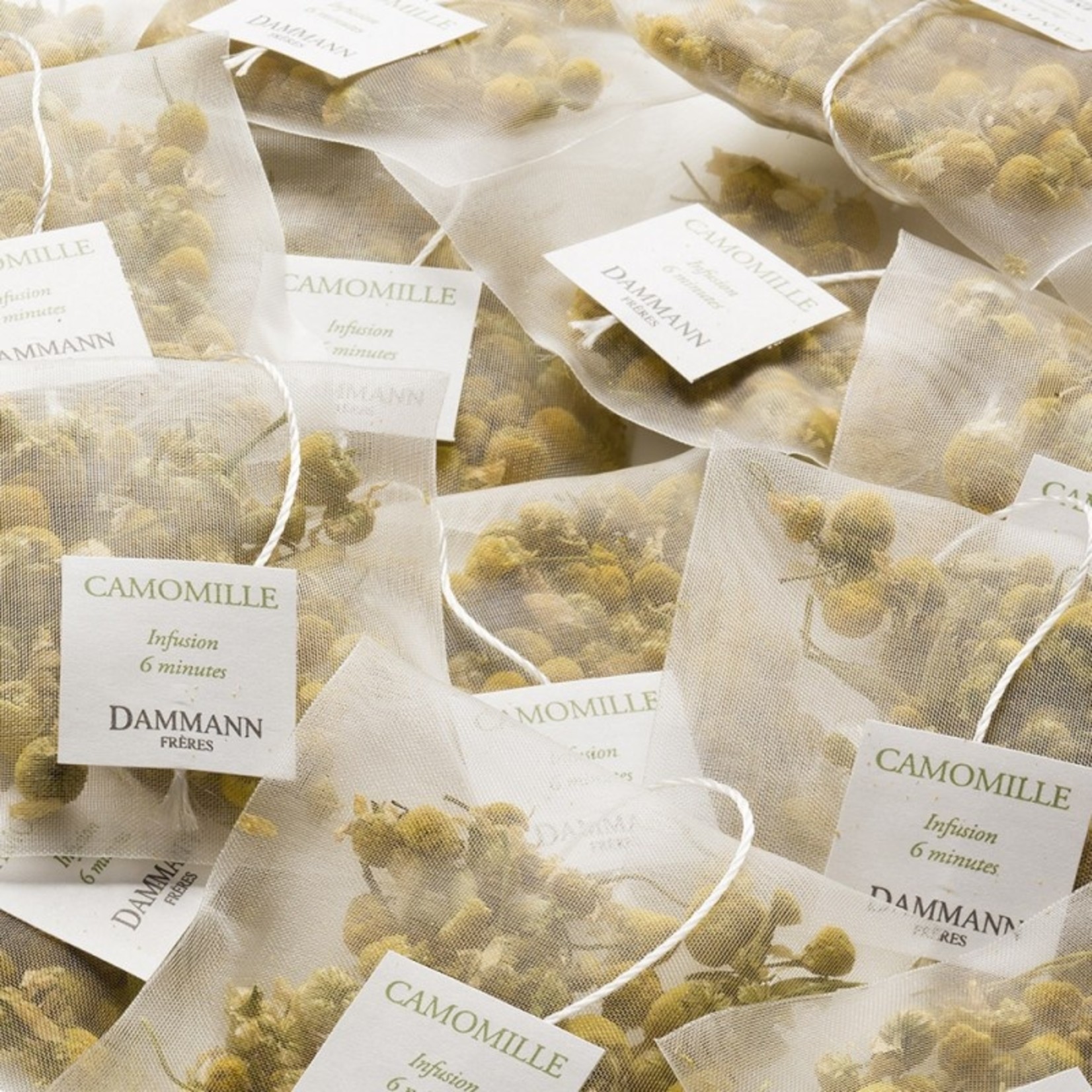 Dammann Dammann ‘Camomille’ 20TB