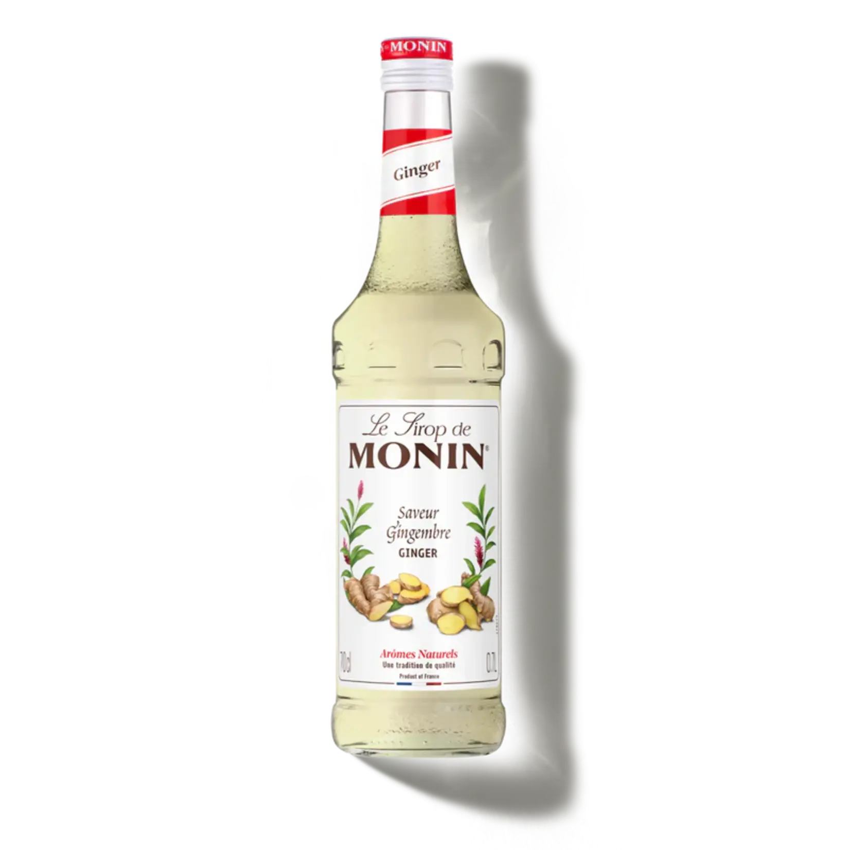 Monin Monin Siroop voor cocktail (70cl)