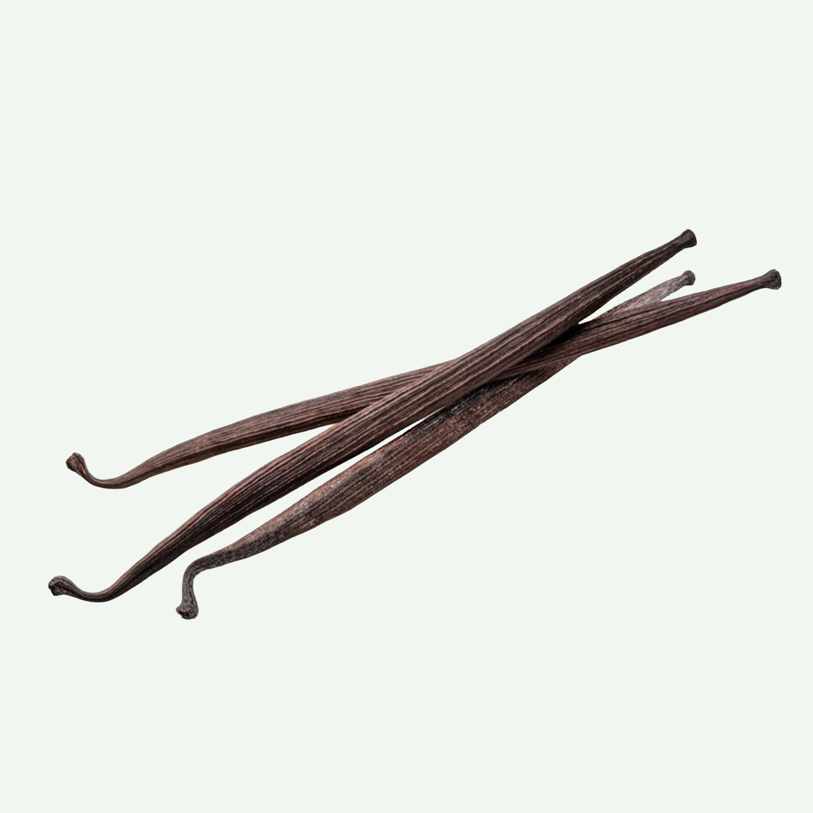 Koffiebranderij Sao Paulo Bourbon Vanillestokjes - 3 stuks - 12g