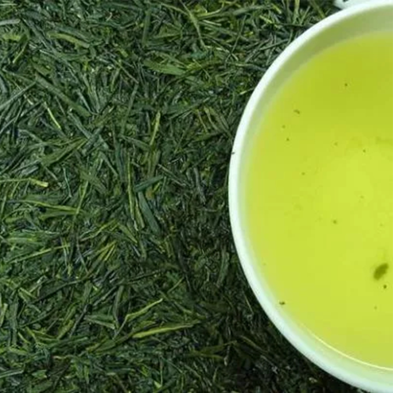 Japan Honyama-cha (Shizuoka) - 100 g