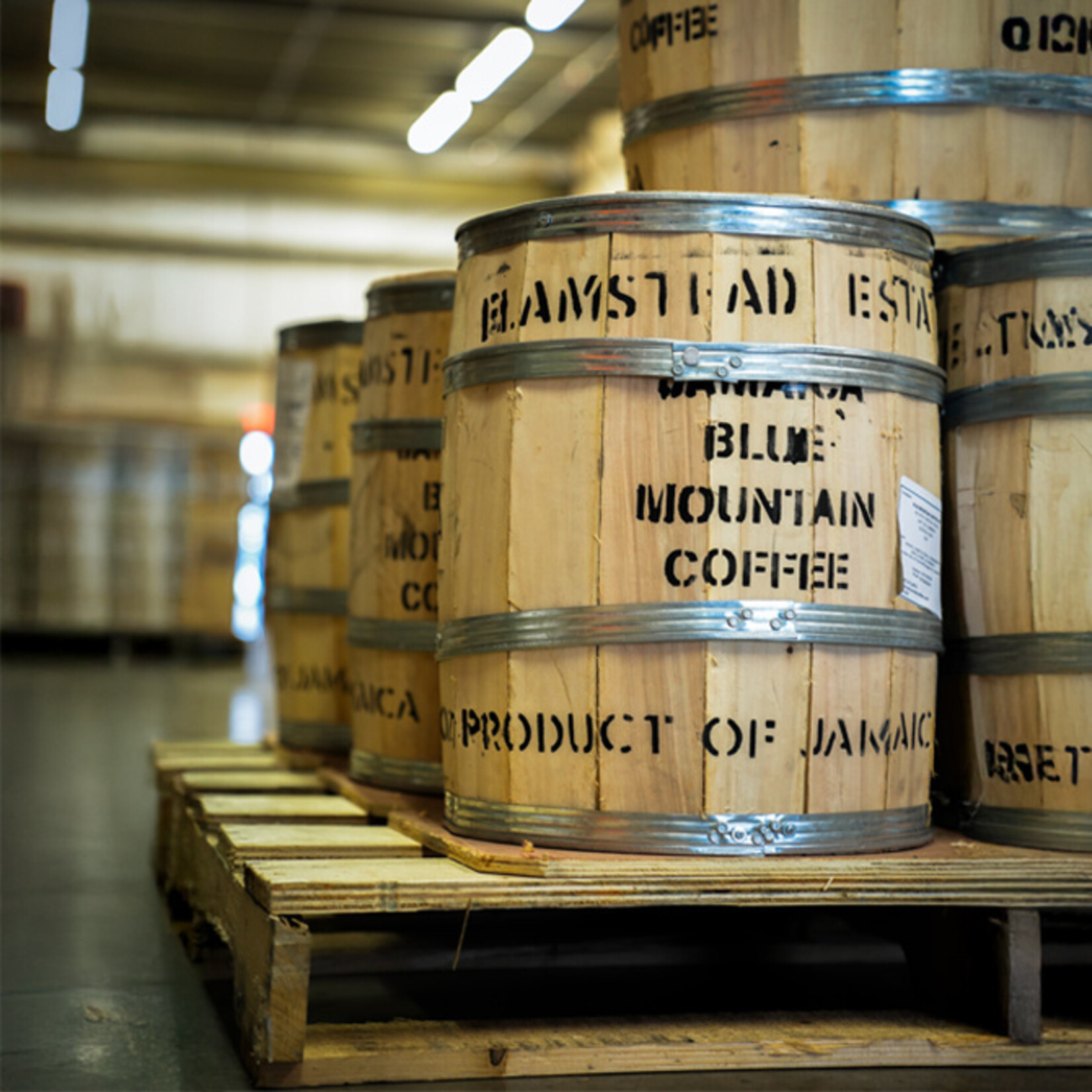 Koffie Jamaica Blue Mountain - Flamstead Estate