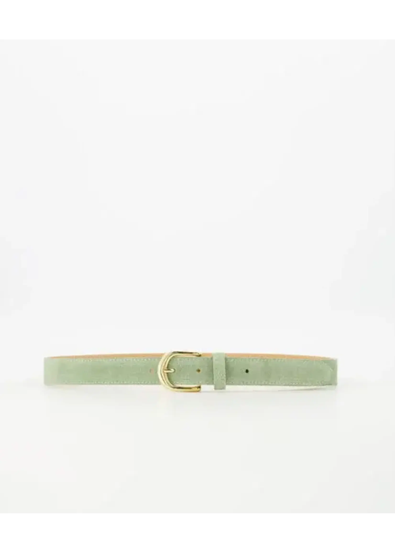 BASIC RIEM SUEDE salie groen