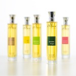 Skin Care Oil